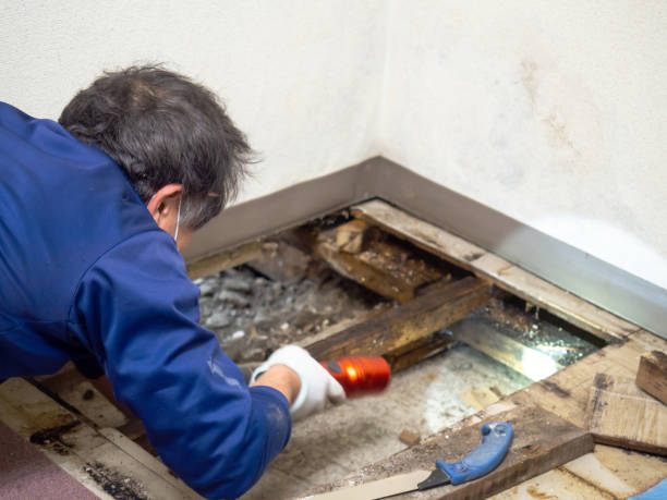Best Mold Testing and Inspection Services in Spooner, WI