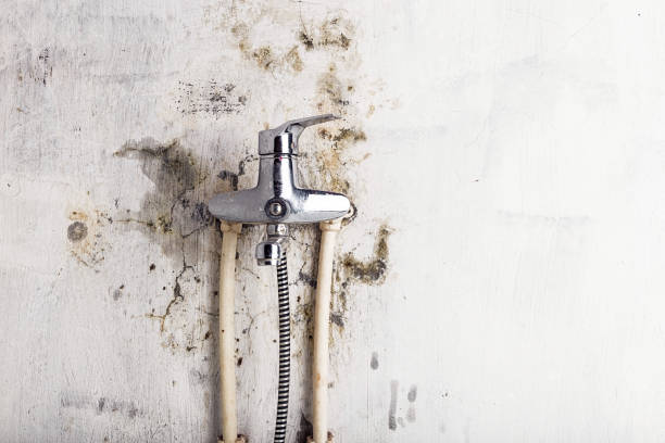 Best Mold Testing and Inspection Services in Spooner, WI